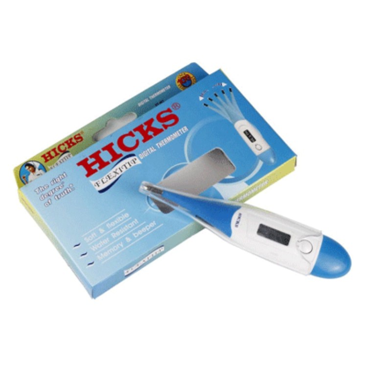 Hicks Digital Thermometer BrandSTIK